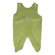 Enterito plush verde con osito